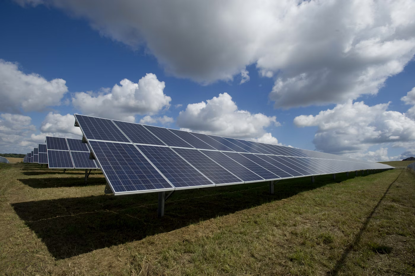Renewable Energy Team